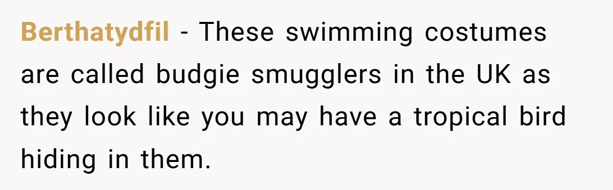 Brother Forces Family Vacation Change Then Faces Unexpected Home Discomfort Berthatydfil − These swimming costumes are called budgie smugglers in the UK as they look like you may have a tropical bird hiding in them.
