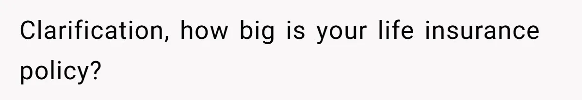 Clarification, how big is your life insurance policy?