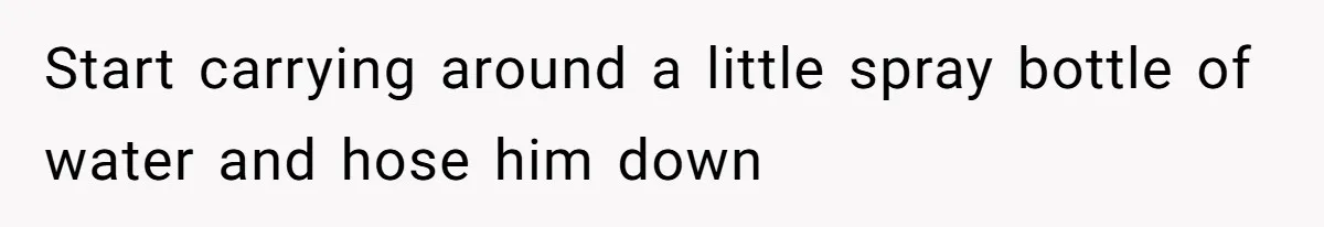She Tries To Teach Her Colleague A Lesson About Snatching Things, Only To Make Everything Worse Start carrying around a little spray bottle of water and hose him down