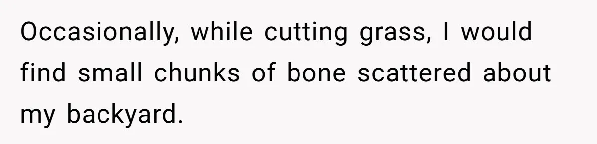 Occasionally, while cutting grass, I would find small chunks of bone scattered about my backyard.