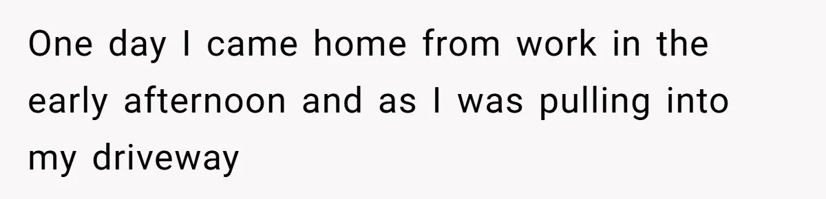 One day I came home from work in the early afternoon and as I was pulling into my driveway