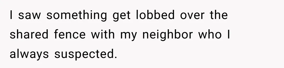 I saw something get lobbed over the shared fence with my neighbor who I always suspected.