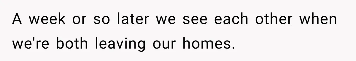 A week or so later we see each other when we're both leaving our homes.