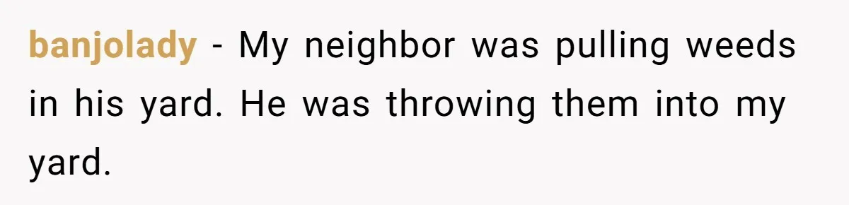 banjolady − My neighbor was pulling weeds in his yard. He was throwing them into my yard.