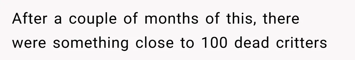 After a couple of months of this, there were something close to 100 dead critters
