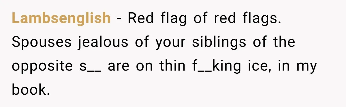 Man Fell Asleep With His Sister After Video Games, But His Wife Thinks It’s A Major Betrayal Lambsenglish − Red flag of red flags. Spouses jealous of your siblings of the opposite s__ are on thin f__king ice, in my book.