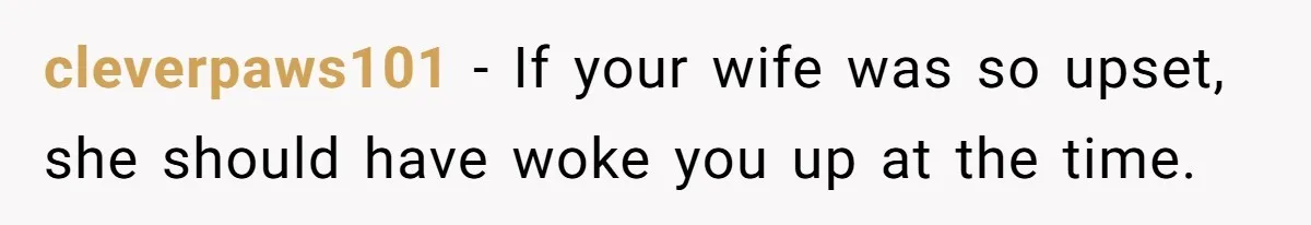 Man Fell Asleep With His Sister After Video Games, But His Wife Thinks It’s A Major Betrayal cleverpaws101 − If your wife was so upset, she should have woke you up at the time.