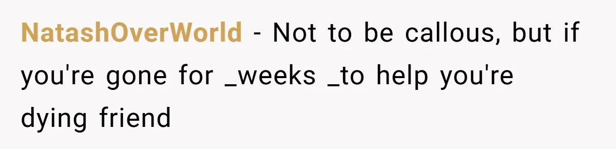 NatashOverWorld − Not to be callous, but if you're gone for _weeks _to help you're dying friend