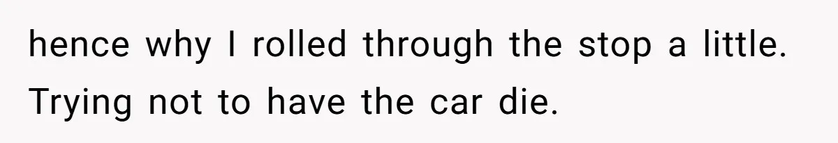Teen Calls 911 And Lies About A Robbery To Get Out Of A Traffic Ticket hence why I rolled through the stop a little. Trying not to have the car die.