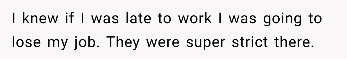 Teen Calls 911 And Lies About A Robbery To Get Out Of A Traffic Ticket I knew if I was late to work I was going to lose my job. They were super strict there.
