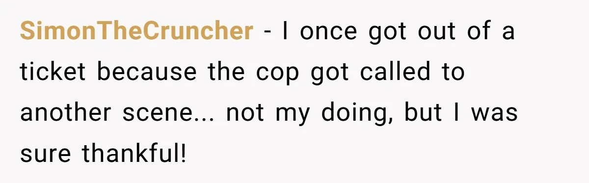 Teen Calls 911 And Lies About A Robbery To Get Out Of A Traffic Ticket SimonTheCruncher − I once got out of a ticket because the cop got called to another scene... not my doing, but I was sure thankful!