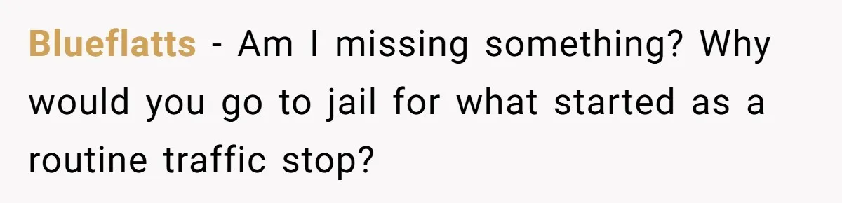 Teen Calls 911 And Lies About A Robbery To Get Out Of A Traffic Ticket Blueflatts − Am I missing something? Why would you go to jail for what started as a routine traffic stop?