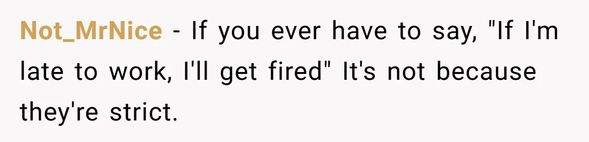 Teen Calls 911 And Lies About A Robbery To Get Out Of A Traffic Ticket Not_MrNice − If you ever have to say, "If I'm late to work, I'll get fired" It's not because they're strict.