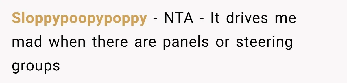 Male Boss 'Volunteers' Himself To Spotlight Women-In-STEM Group Session Sloppypoopypoppy − NTA - It drives me mad when there are panels or steering groups