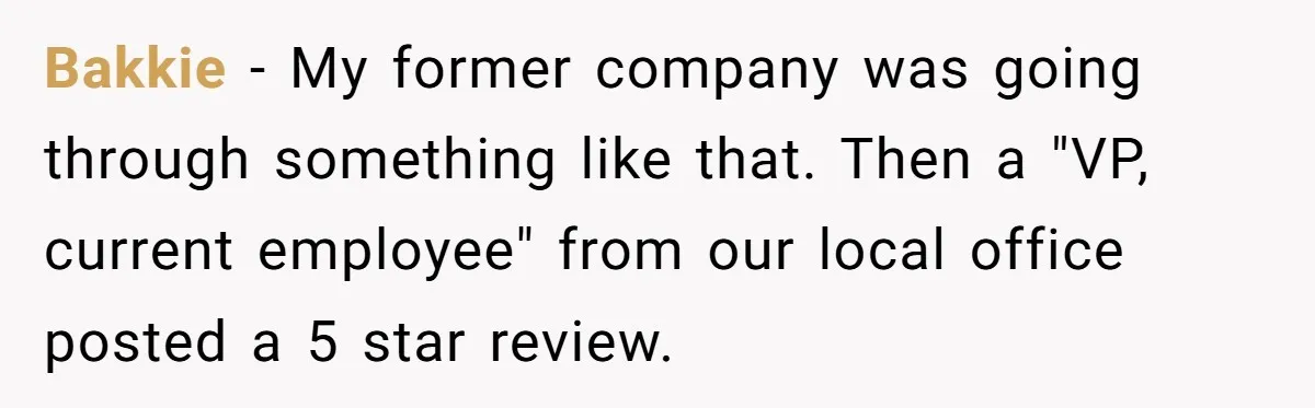 Former Employee Guides Colleagues To Leave Honest Reviews At Toxic Nonprofit Bakkie − My former company was going through something like that. Then a "VP, current employee" from our local office posted a 5 star review.