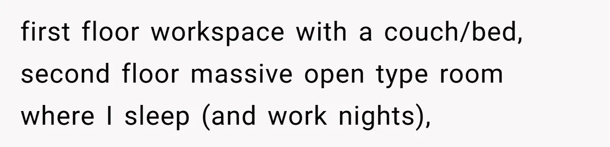Woman Stands Firm Against Sister’s Demand To Evict Paying Housemates For Divorce Refuge first floor workspace with a couch/bed, second floor massive open type room where I sleep (and work nights),
