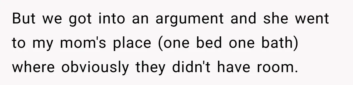Woman Stands Firm Against Sister’s Demand To Evict Paying Housemates For Divorce Refuge But we got into an argument and she went to my mom's place (one bed one bath) where obviously they didn't have room.