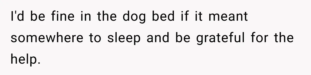 Woman Stands Firm Against Sister’s Demand To Evict Paying Housemates For Divorce Refuge I'd be fine in the dog bed if it meant somewhere to sleep and be grateful for the help.