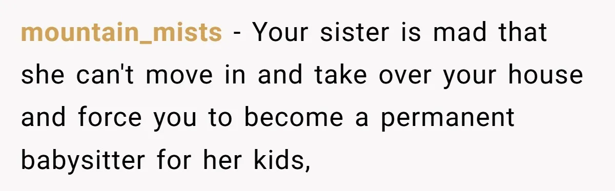 Woman Stands Firm Against Sister’s Demand To Evict Paying Housemates For Divorce Refuge mountain_mists − Your sister is mad that she can't move in and take over your house and force you to become a permanent babysitter for her kids,
