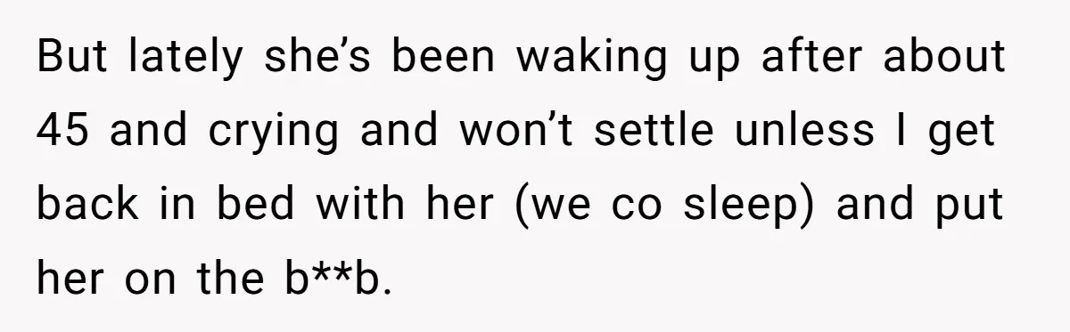Mom Wants To Keep Her Night Routine, But Her Partner Wants Her To Change It But lately she’s been waking up after about 45 and crying and won’t settle unless I get back in bed with her (we co sleep) and put her on the...