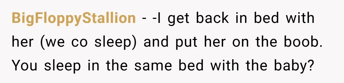 Mom Wants To Keep Her Night Routine, But Her Partner Wants Her To Change It BigFloppyStallion − -I get back in bed with her (we co sleep) and put her on the boob. You sleep in the same bed with the baby?