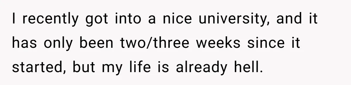 I recently got into a nice university, and it has only been two/three weeks since it started, but my life is already hell.