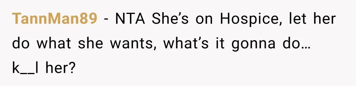TannMan89 − NTA She’s on Hospice, let her do what she wants, what’s it gonna do… k__l her?
