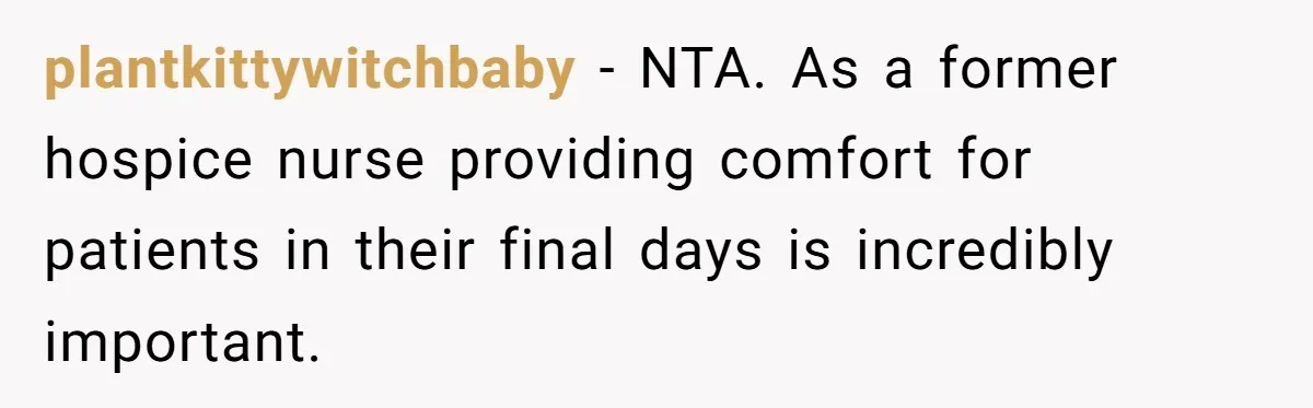 plantkittywitchbaby − NTA. As a former hospice nurse providing comfort for patients in their final days is incredibly important.