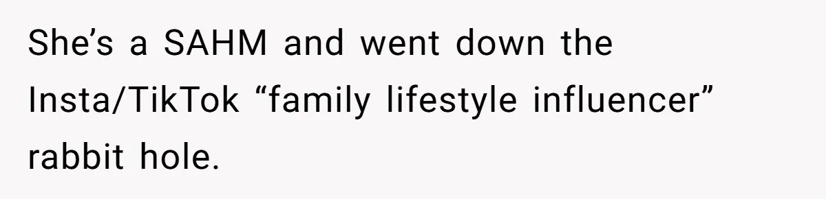 Mom Loses Her Cool After 'Influencer' SIL Keeps Pushing For More Content She’s a SAHM and went down the Insta/TikTok “family lifestyle influencer” rabbit hole.