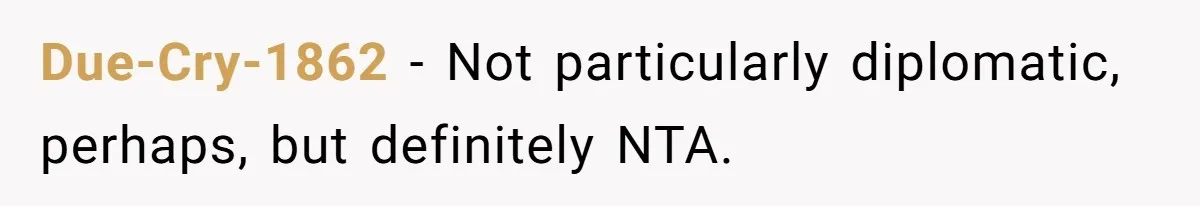 Mom Loses Her Cool After 'Influencer' SIL Keeps Pushing For More Content Due-Cry-1862 − Not particularly diplomatic, perhaps, but definitely NTA.
