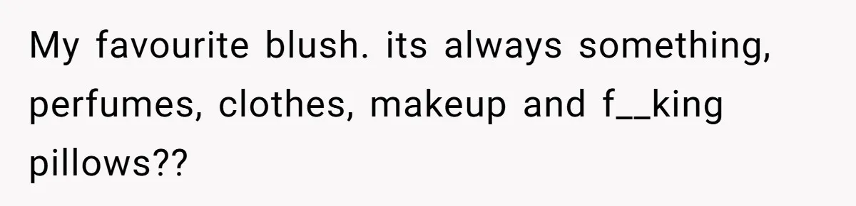 My favourite blush. its always something, perfumes, clothes, makeup and f__king pillows??
