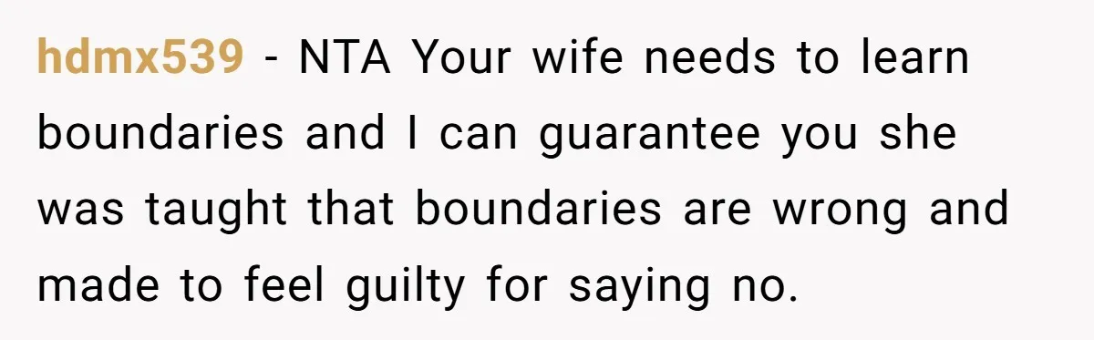 Newlywed Husband Demands Wife Stop Raising Her Sister's Child Before Their Marriage Collapses hdmx539 − NTA Your wife needs to learn boundaries and I can guarantee you she was taught that boundaries are wrong and made to feel guilty for saying no.