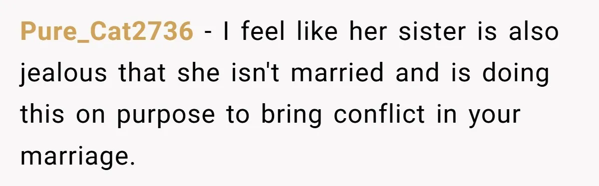 Newlywed Husband Demands Wife Stop Raising Her Sister's Child Before Their Marriage Collapses Pure_Cat2736 − I feel like her sister is also jealous that she isn't married and is doing this on purpose to bring conflict in your marriage.
