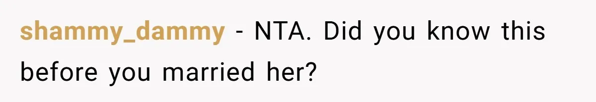 Newlywed Husband Demands Wife Stop Raising Her Sister's Child Before Their Marriage Collapses shammy_dammy − NTA. Did you know this before you married her?