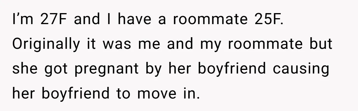 Woman Branded A "B-tch" After Refusing To Let A Pregnant Roommate Treat Her Groceries Like An Open Buffet I’m 27F and I have a roommate 25F. Originally it was me and my roommate but she got pregnant by her boyfriend causing her boyfriend to move in.