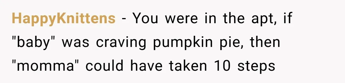 Woman Branded A "B-tch" After Refusing To Let A Pregnant Roommate Treat Her Groceries Like An Open Buffet HappyKnittens − You were in the apt, if "baby" was craving pumpkin pie, then "momma" could have taken 10 steps