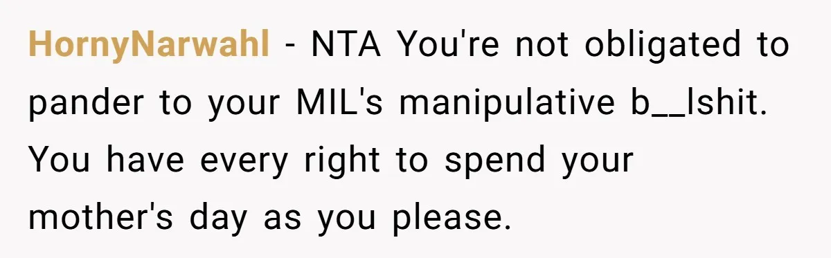 HornyNarwahl − NTA You're not obligated to pander to your MIL's manipulative b__lshit. You have every right to spend your mother's day as you please.