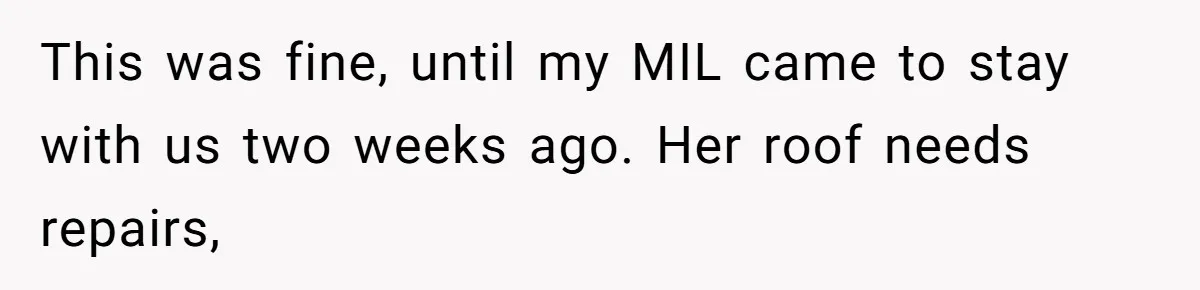 Tall Wife Snaps At Short Mother In Law Over Kitchen Stuffs Rearrangement This was fine, until my MIL came to stay with us two weeks ago. Her roof needs repairs,