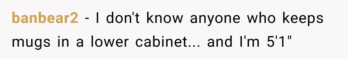Tall Wife Snaps At Short Mother In Law Over Kitchen Stuffs Rearrangement banbear2 − I don't know anyone who keeps mugs in a lower cabinet... and I'm 5'1"