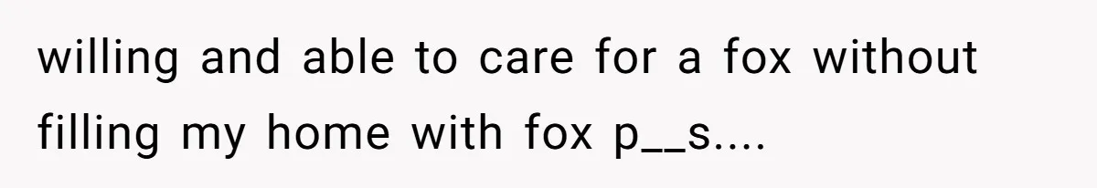 A Dream Pet Turned Into a "Scented" Nightmare After a Sanctuary’s Unusual Test willing and able to care for a fox without filling my home with fox p__s....