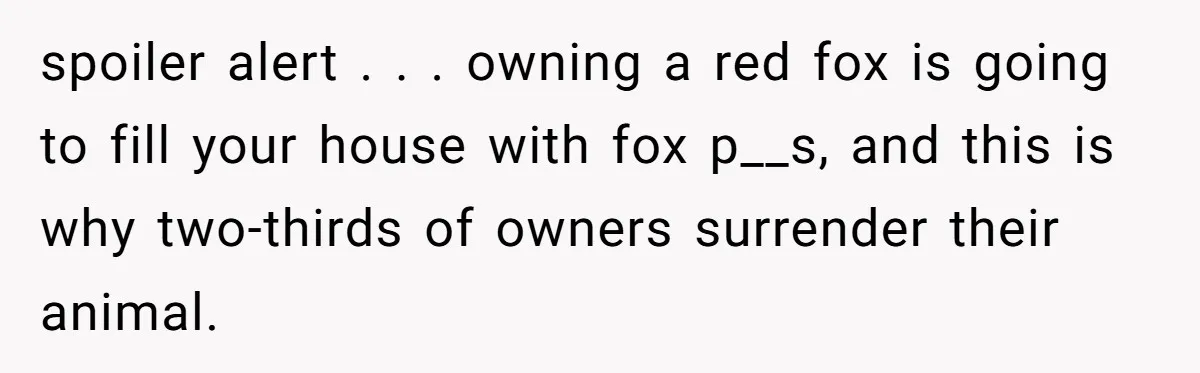 A Dream Pet Turned Into a "Scented" Nightmare After a Sanctuary’s Unusual Test spoiler alert . . . owning a red fox is going to fill your house with fox p__s, and this is why two-thirds of owners surrender their animal.
