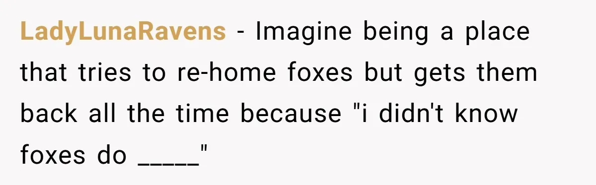 A Dream Pet Turned Into a "Scented" Nightmare After a Sanctuary’s Unusual Test LadyLunaRavens − Imagine being a place that tries to re-home foxes but gets them back all the time because "i didn't know foxes do _____"