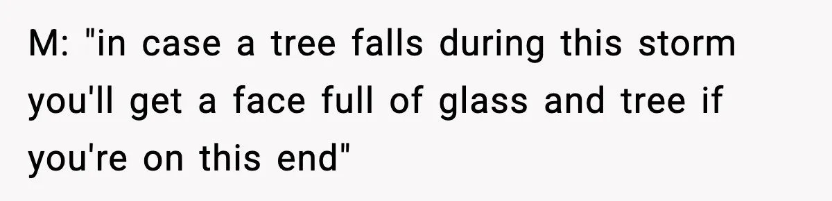 M: "in case a tree falls during this storm you'll get a face full of glass and tree if you're on this end"