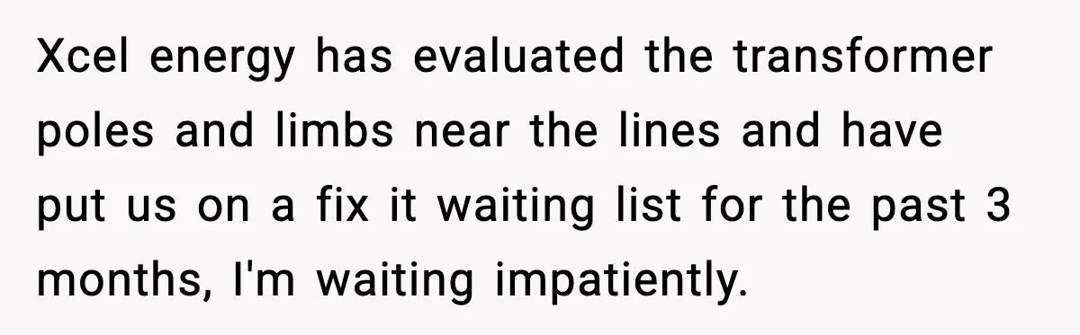 Xcel energy has evaluated the transformer poles and limbs near the lines and have put us on a fix it waiting list for the past 3 months, I'm waiting impatiently.