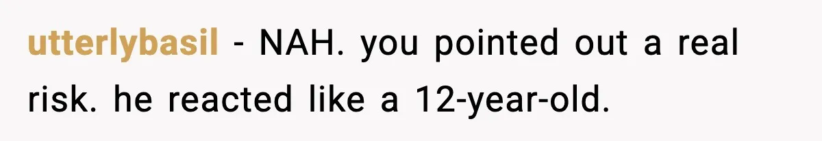 utterlybasil - NAH. you pointed out a real risk. he reacted like a 12-year-old.