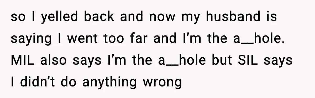 so I yelled back and now my husband is saying I went too far and I’m the a__hole. MIL also says I’m the a__hole but SIL says I didn’t do...