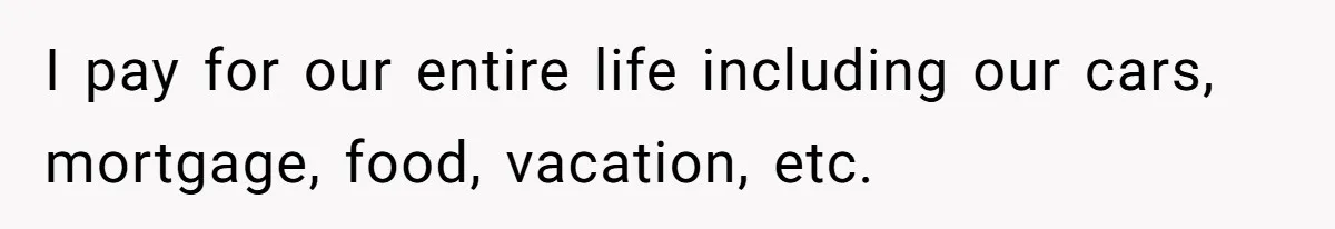 I pay for our entire life including our cars, mortgage, food, vacation, etc.
