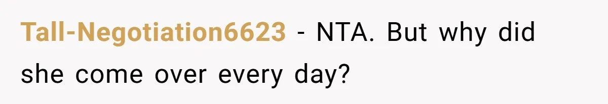 Mother Cuts Off Surrogate After She Constantly Interfered With Baby And Parents Tall-Negotiation6623 − NTA. But why did she come over every day?