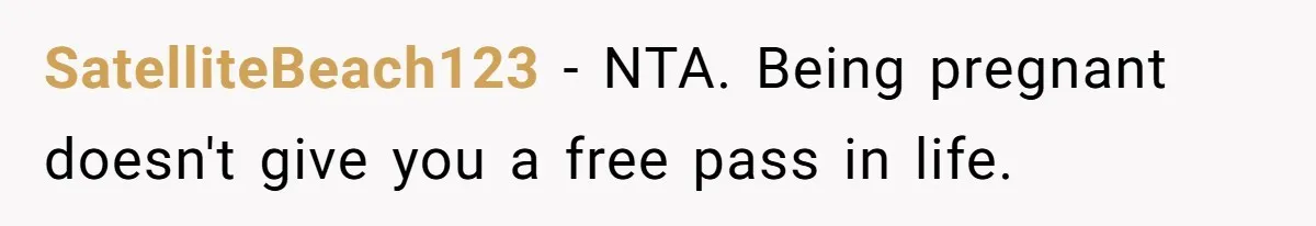 Man Refuses To Give Up Paid Seat, Pregnant Passenger Calls Him Out SatelliteBeach123 − NTA. Being pregnant doesn't give you a free pass in life.