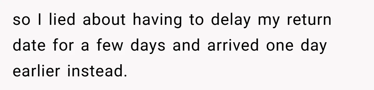 Stepmom Cancels Stepdaughter’s Birthday Bash After Discovering Dad Cheated, Now Family Wants Her To Forgive so I lied about having to delay my return date for a few days and arrived one day earlier instead.